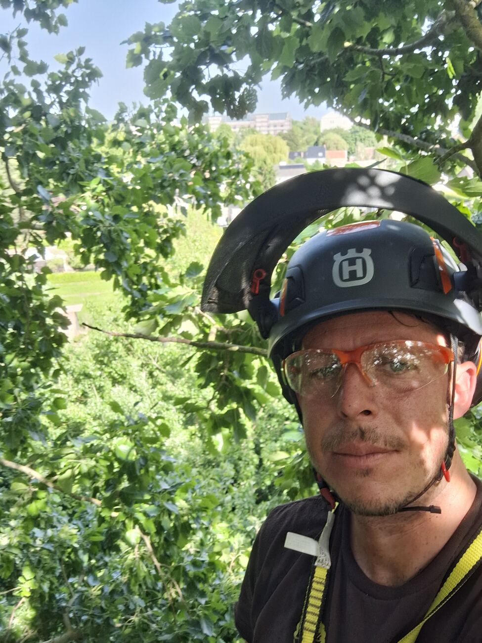 Jonas Janssens met helm en veiligheidsbril, hoog in de kruin van een boom